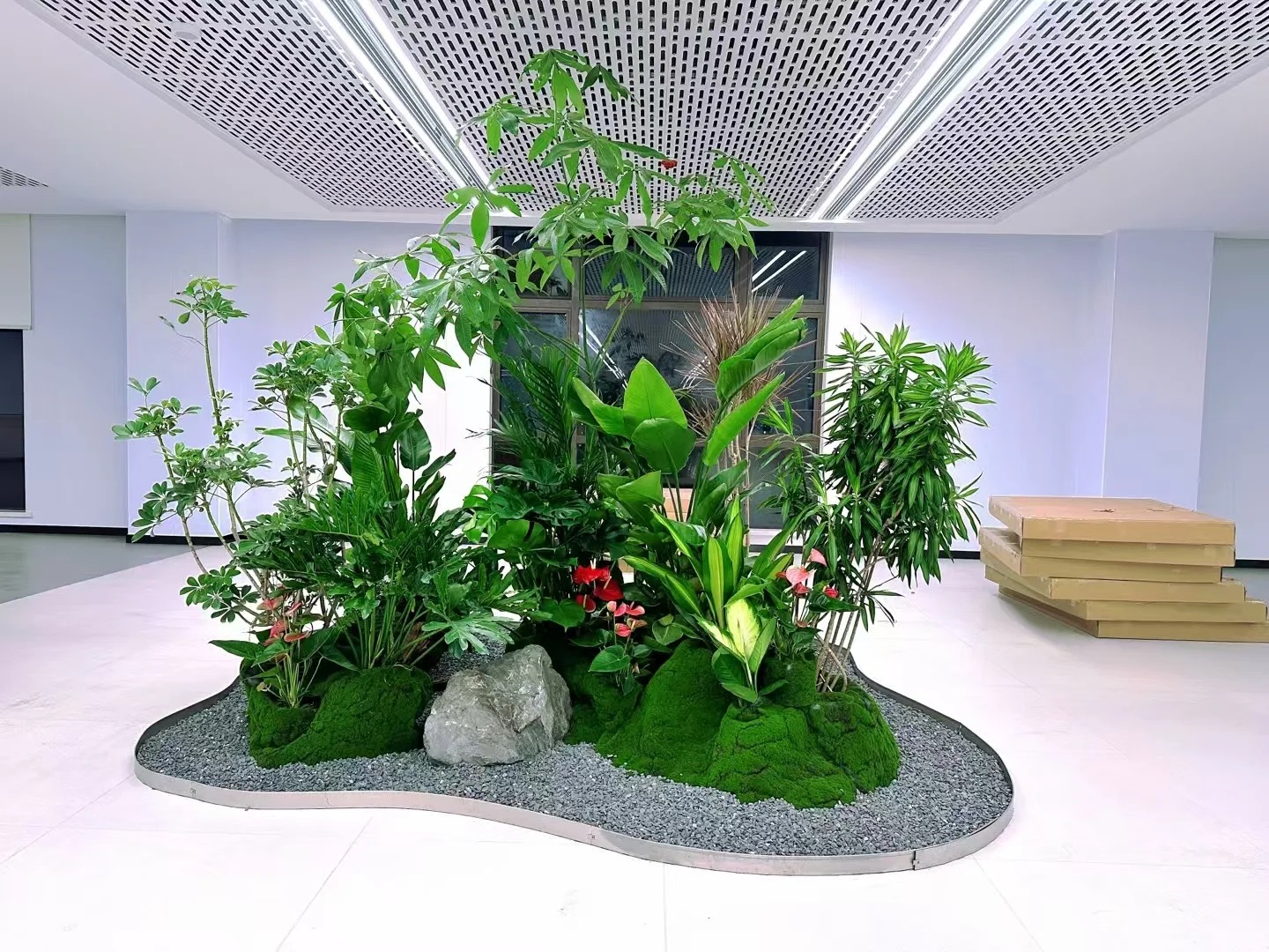 了解江北植物租摆公司，开启绿色租赁之旅！